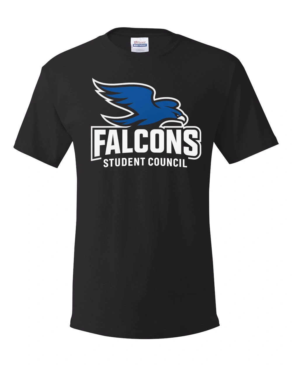 CCMS Student Council